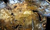 Beautiful Hubbard Basin Petrified Wood Slab - #36547-1